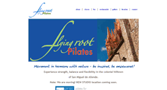 Desktop Screenshot of flyingrootpilates.com